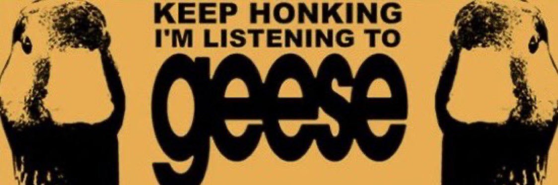 aushollywood's profile banner image