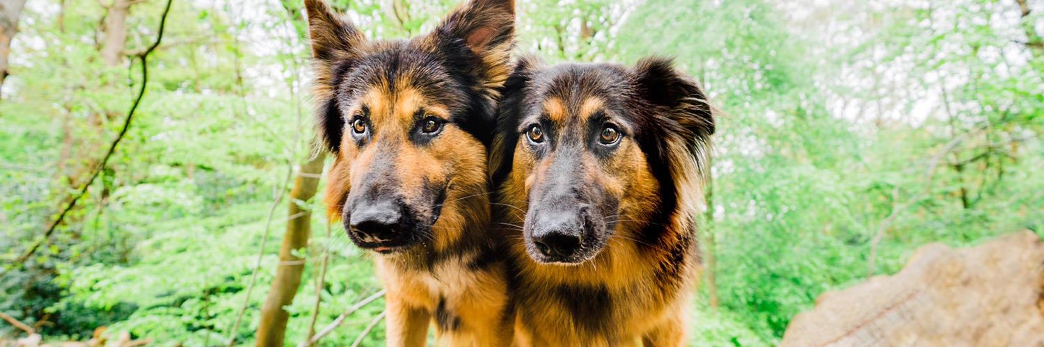 Danny Clayton banner