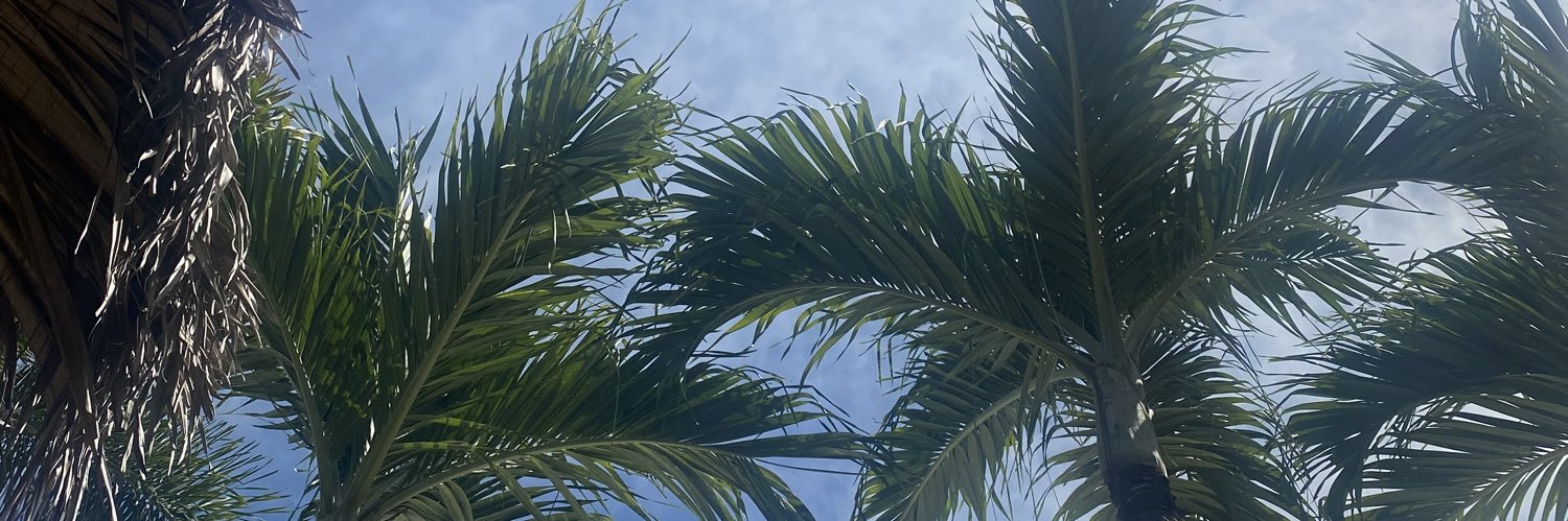 spiraxels's profile banner image