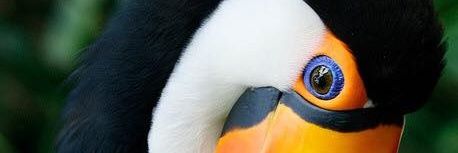 Nacelys González banner