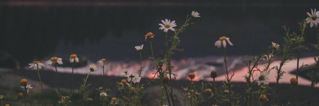 aubrey_ofarrell's profile banner image