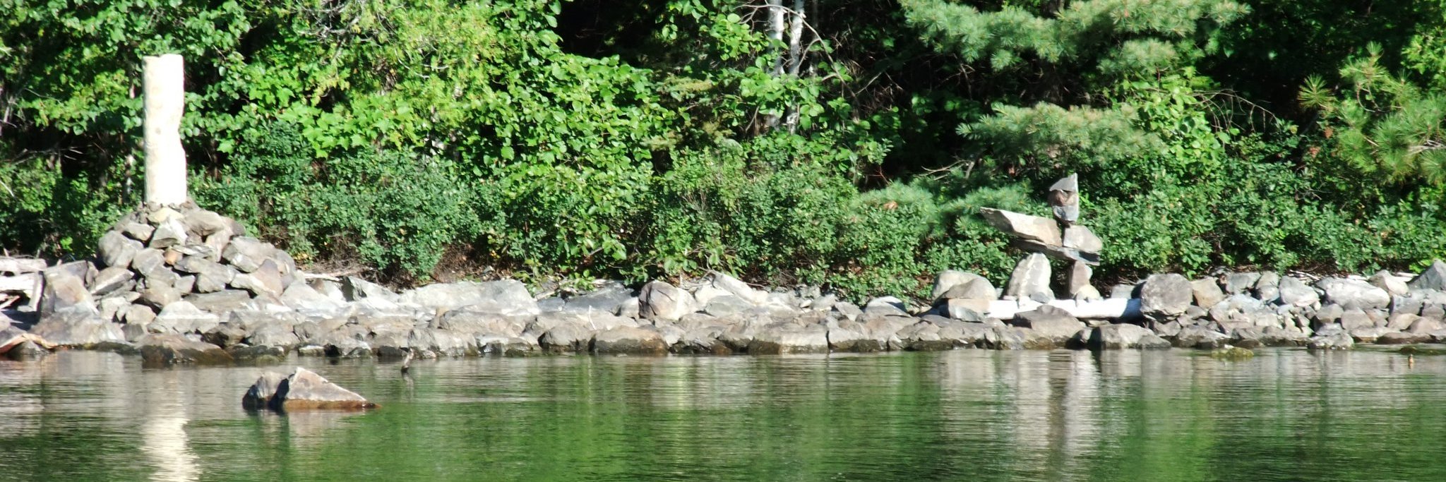 Maureen Trask banner