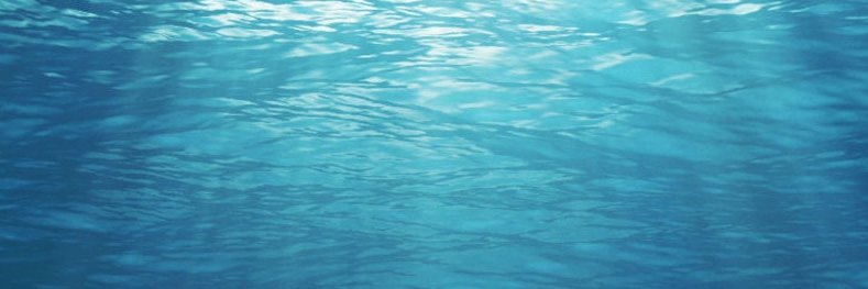 teelos banner