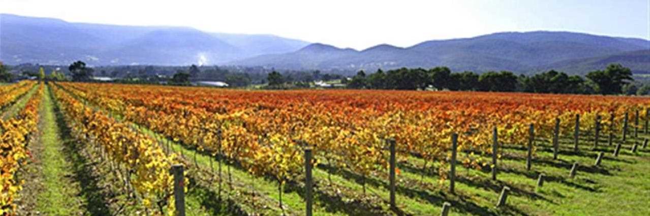 MoatVintners's profile banner image