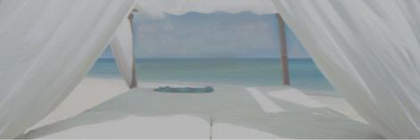 Mirandarpgrdn's profile banner image