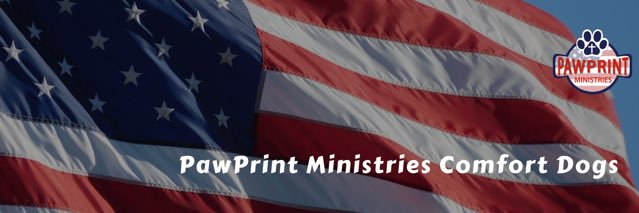 PPMdogs's profile banner image