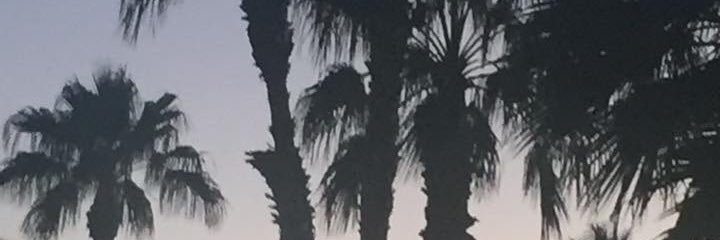 Chrissbandana's banner