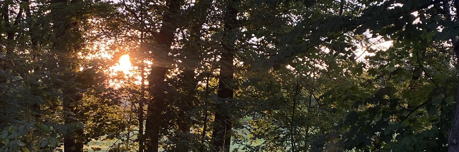 srdecnice's profile banner image