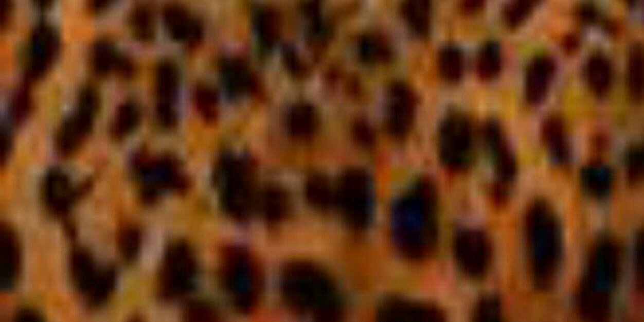 kim banner