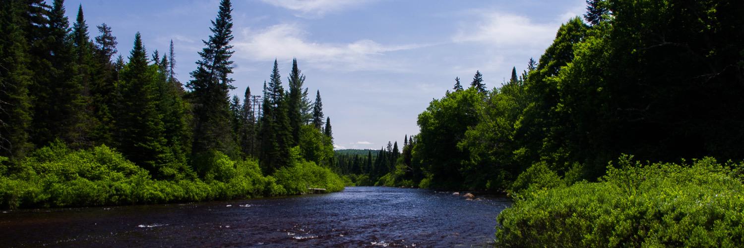 tomfromupstate's profile banner image