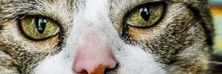 mujergala83's profile banner image