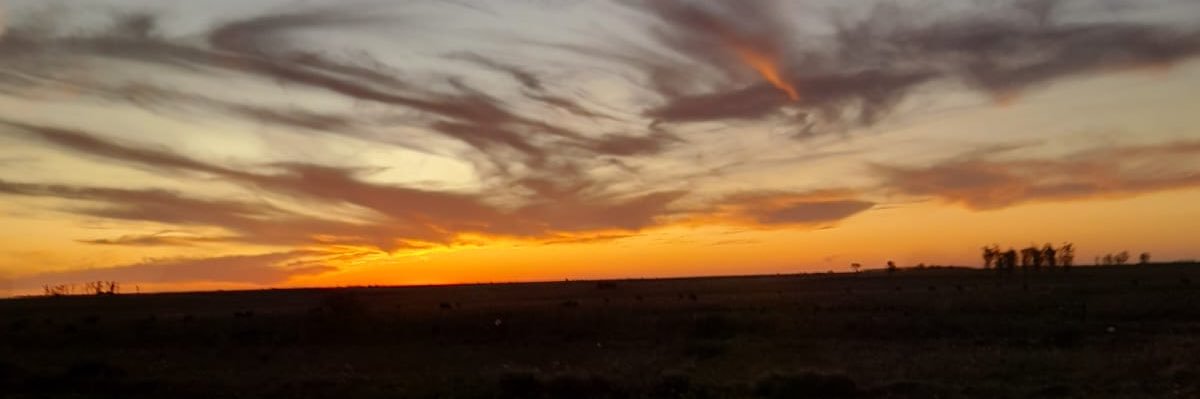 95_gauna's profile banner image
