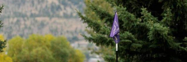 Carroll College Golf banner