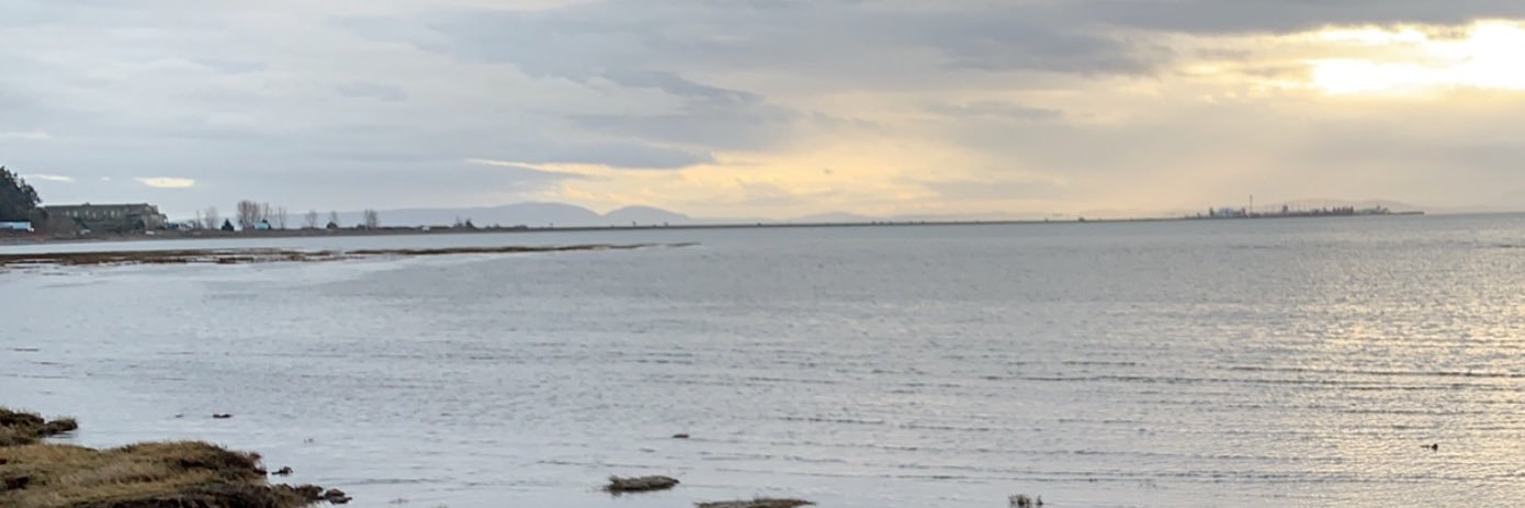 runellev's profile banner image