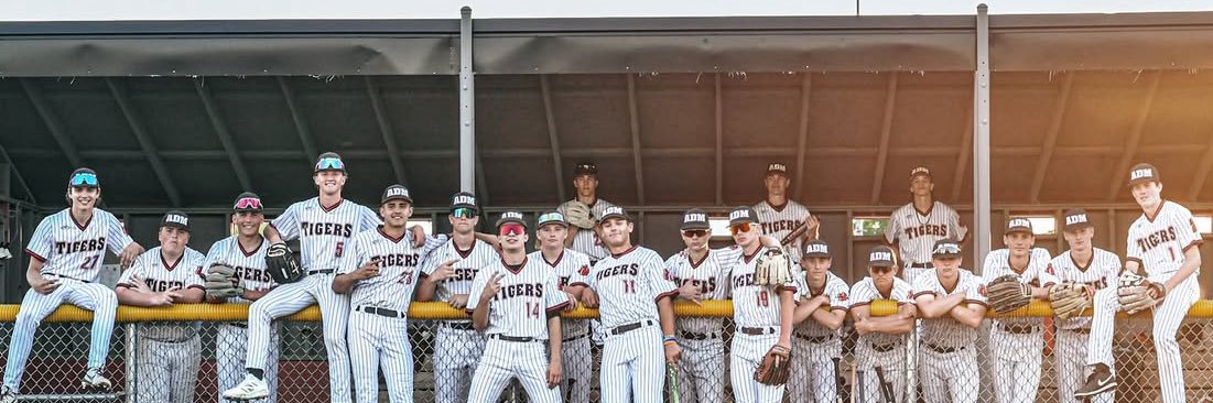 ADM Tiger Baseball banner