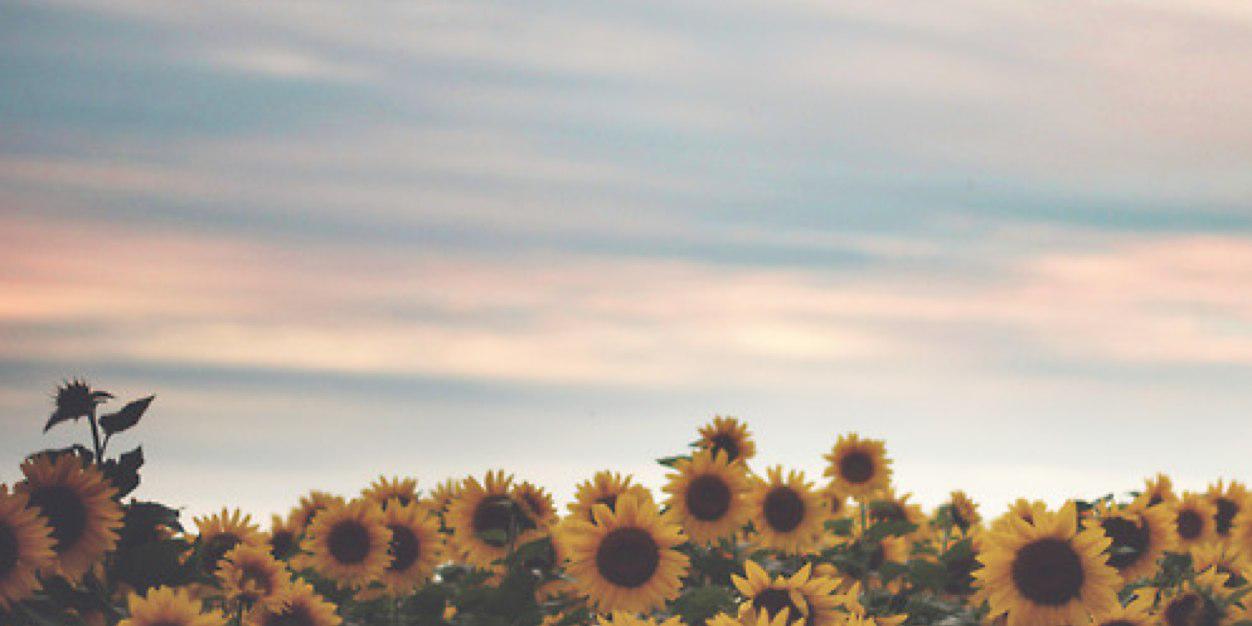 sarahlahty's profile banner image