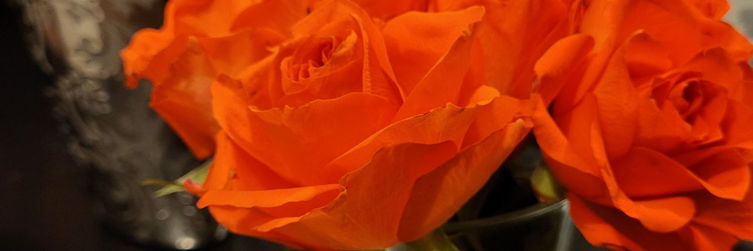 RABINOU4's profile banner image