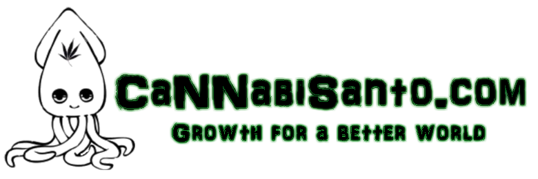 cannabisanto's profile banner image
