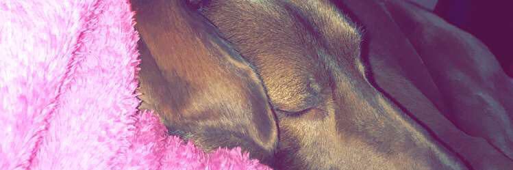 aleebautister's profile banner image