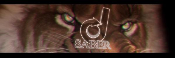 DataSaber Profile Banner