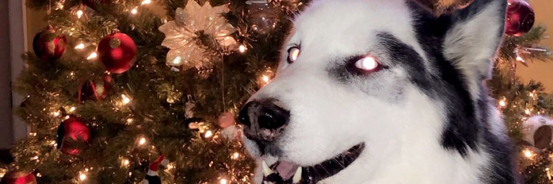 dieseldenny's profile banner image