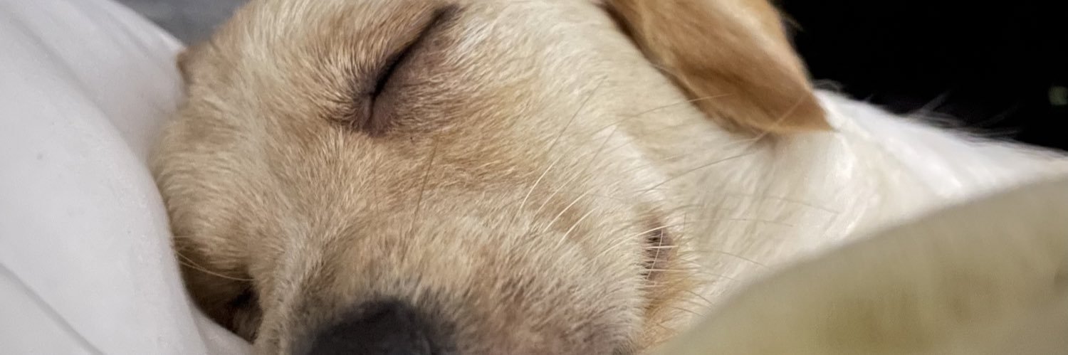 mbrl_11's profile banner image
