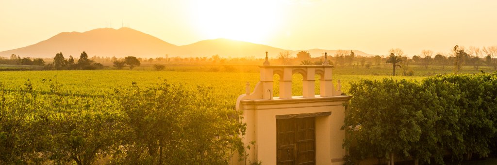 Pisco Portón banner