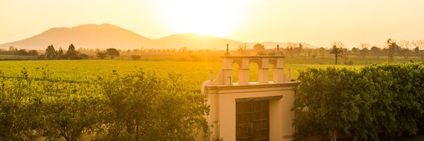 piscoporton Profile Banner