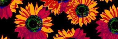 ivonsithanu's profile banner image
