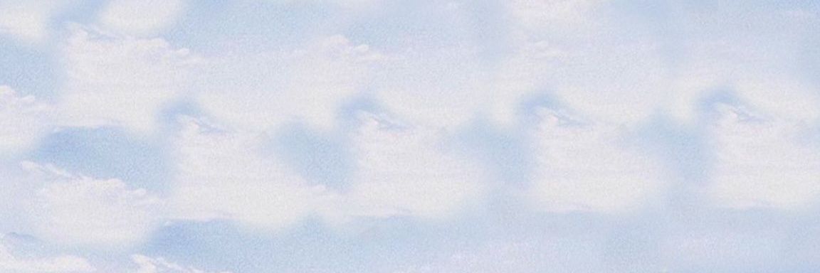 rome ü banner