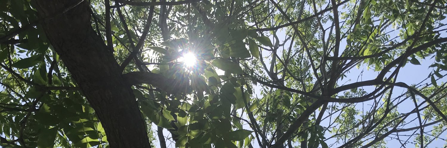 surivey's profile banner image