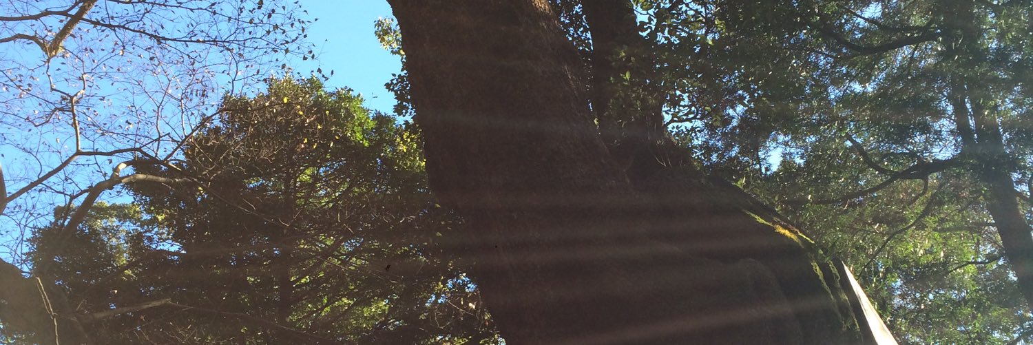 komame315's profile banner image
