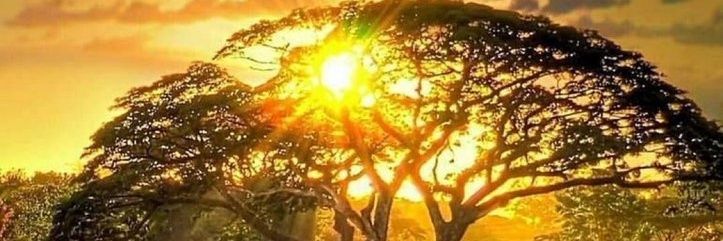 PASCAL KWENA WA EXODUS SHOP MAKWARA banner