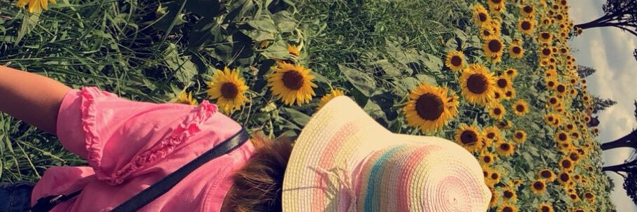 ccherrychikoo's profile banner image