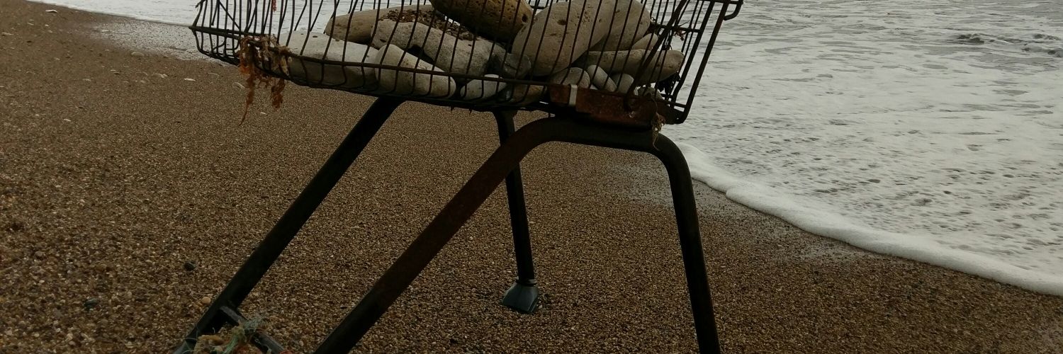 Zig Smith🏁 banner