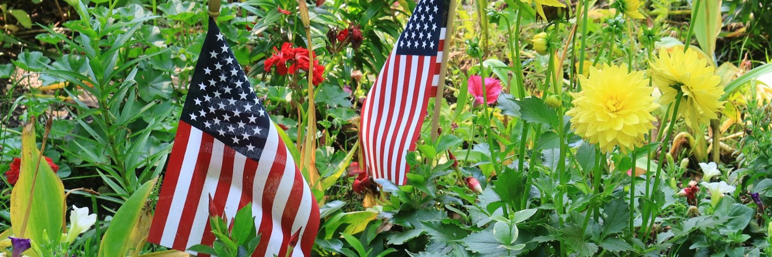 kathyrowland's profile banner image