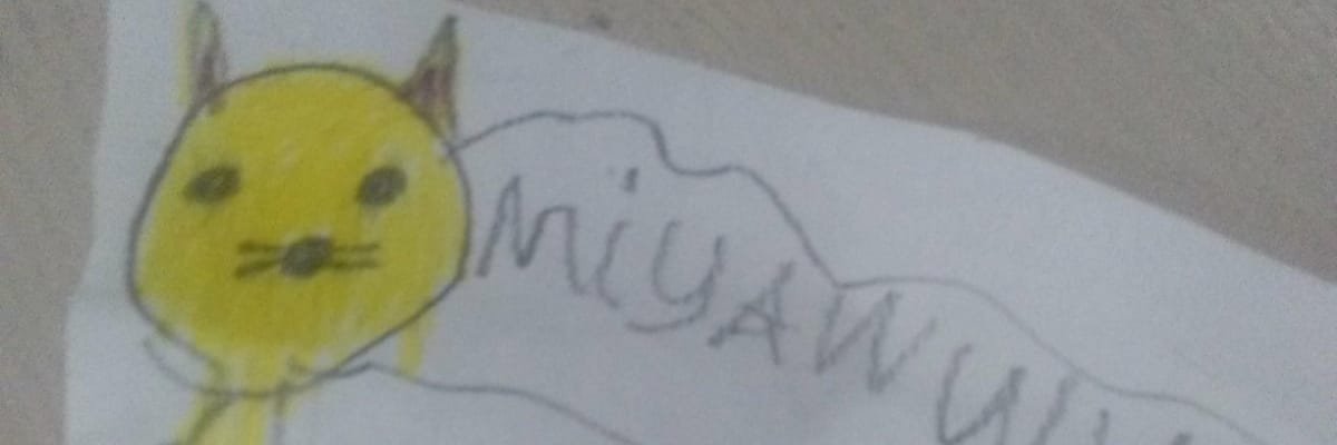 0xTCG's profile banner image