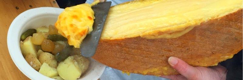 cheese_chasers's profile banner image