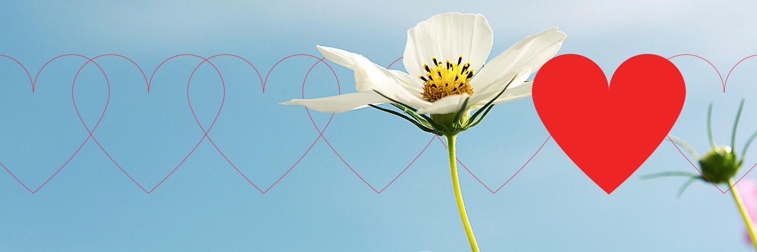 lovethegive's profile banner image