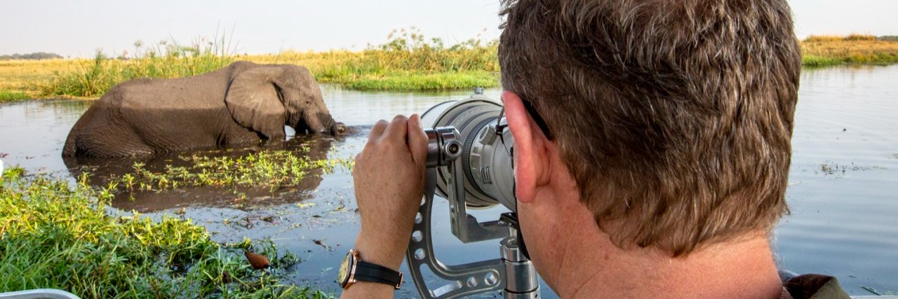 Pangolin Wildlife Photography banner
