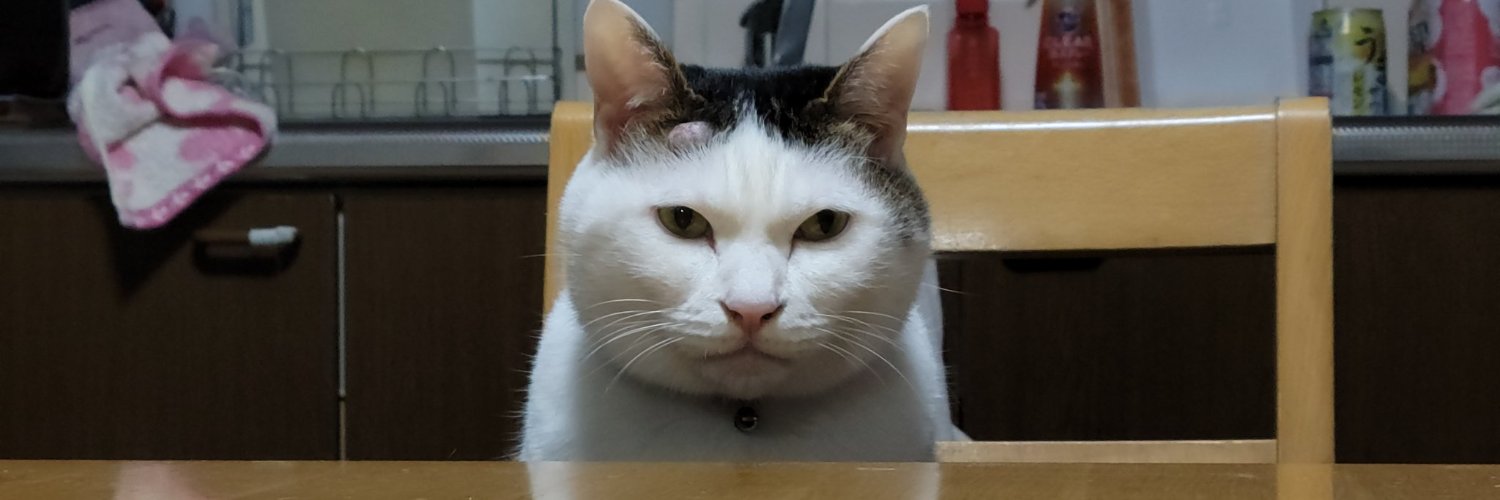 猥リー banner