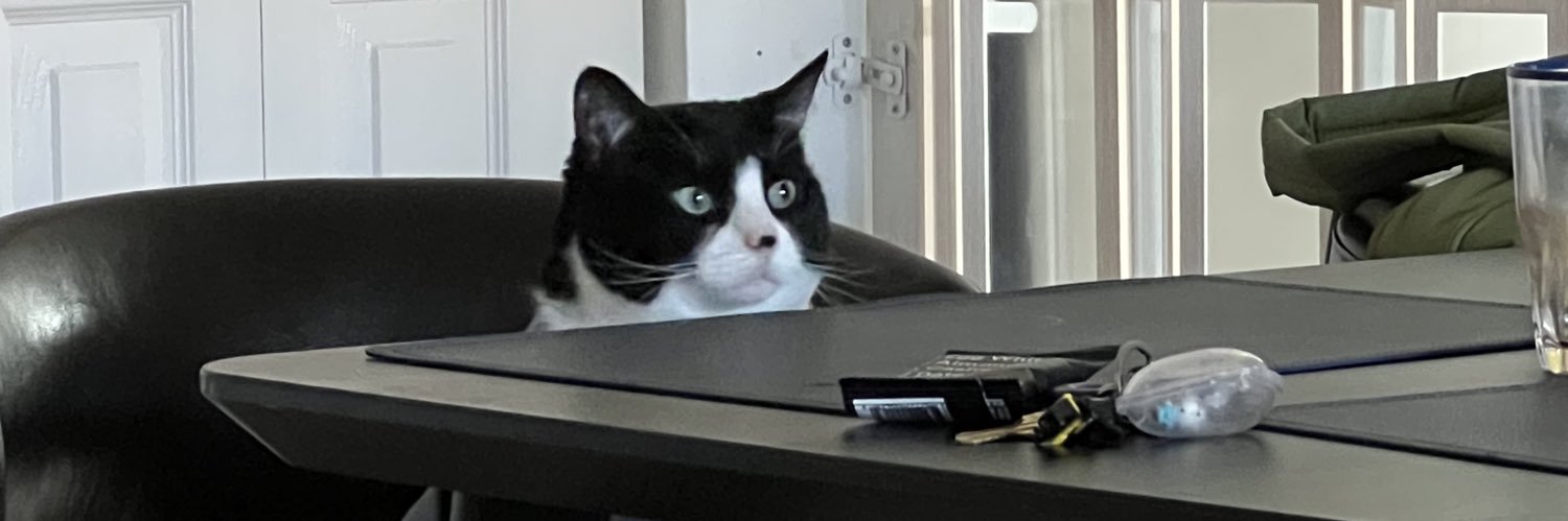 onyx__i's profile banner image