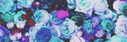 pimpomprima's profile banner image