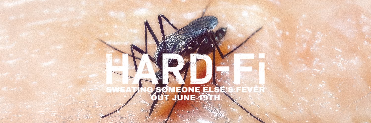 Hard-Fi💙 banner