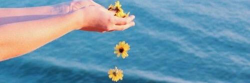 1iremguney's profile banner image