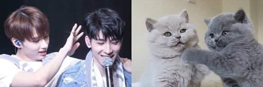 wonu_jun's profile banner image