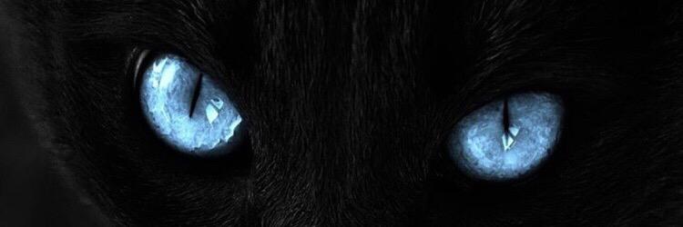 GonRejel's profile banner image