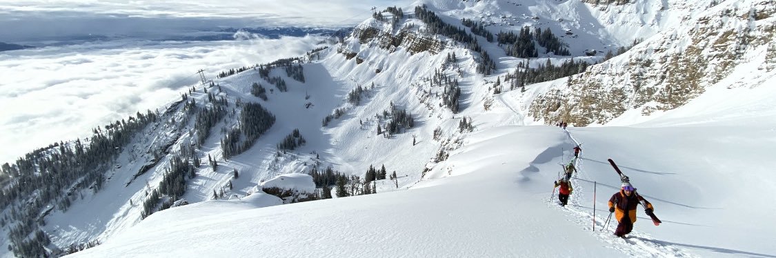 Clare Newsham banner