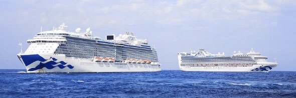 Princess Cruises AU banner