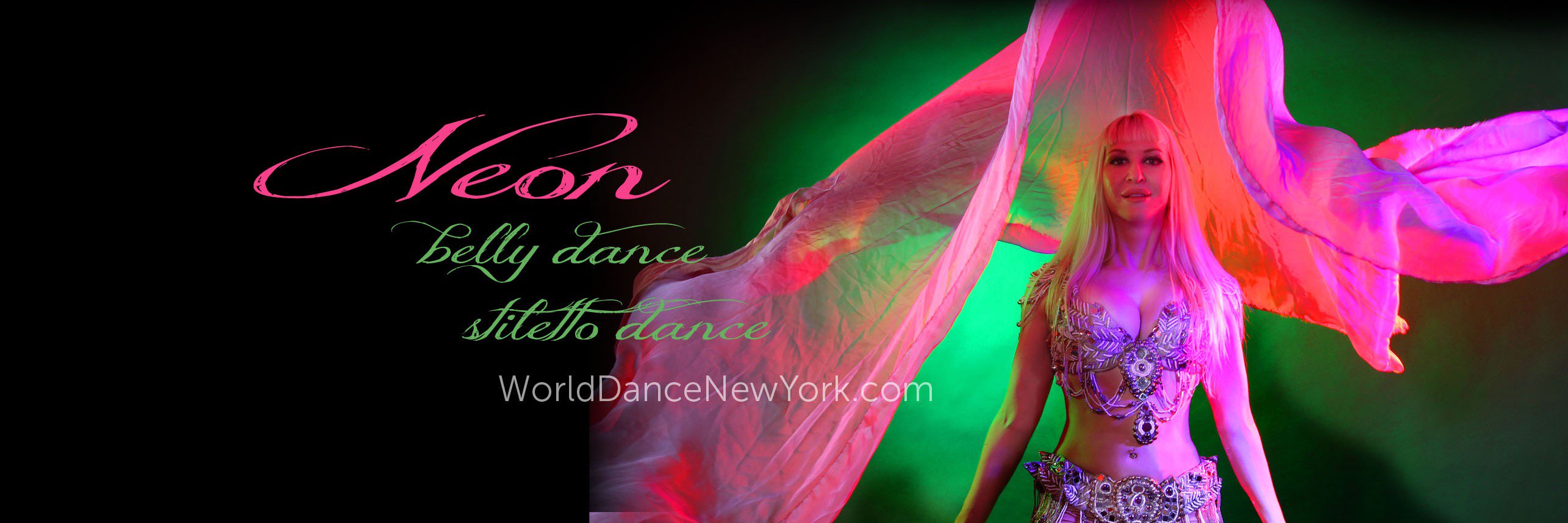 Neonissima's profile banner image